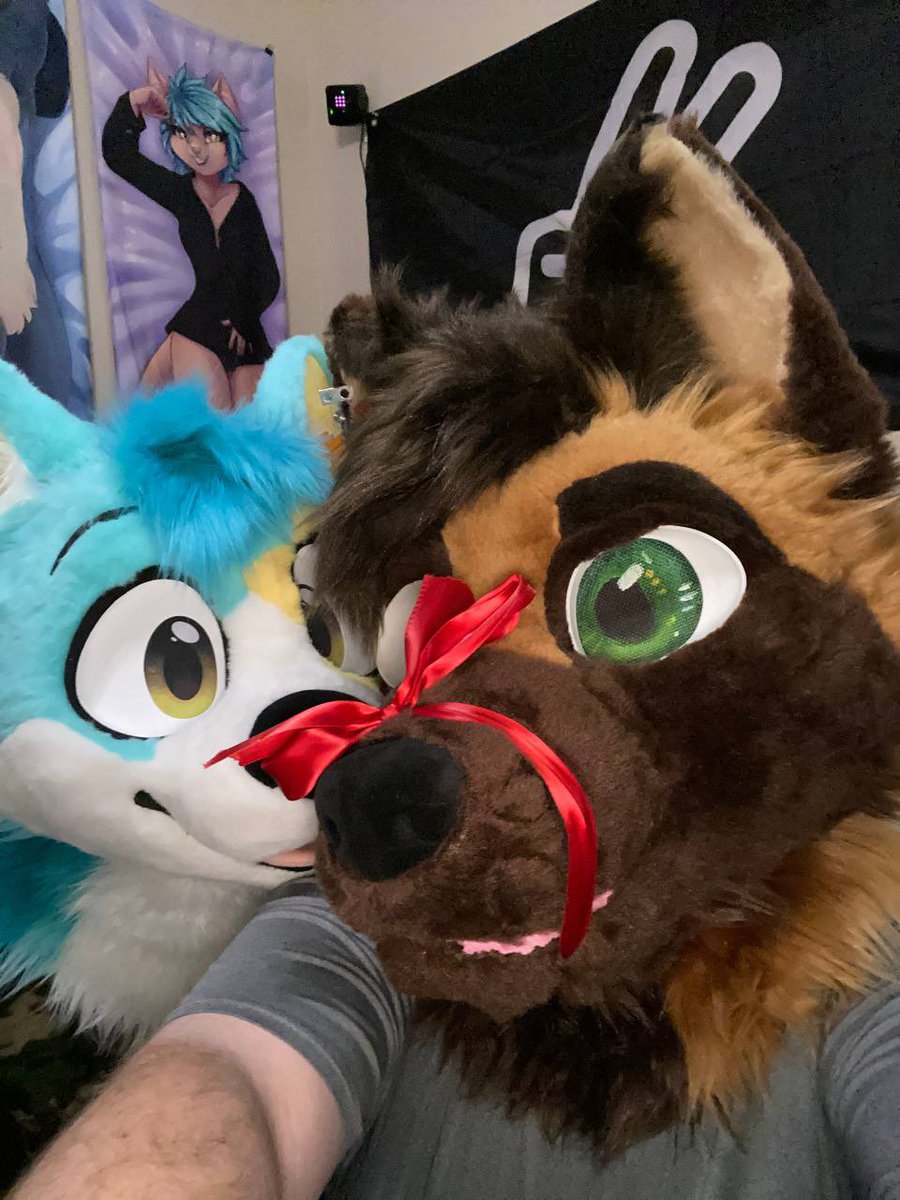 Symphony_Snep (She/Her) tweet media
