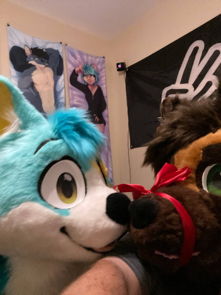 Symphony_Snep (She/Her) tweet media