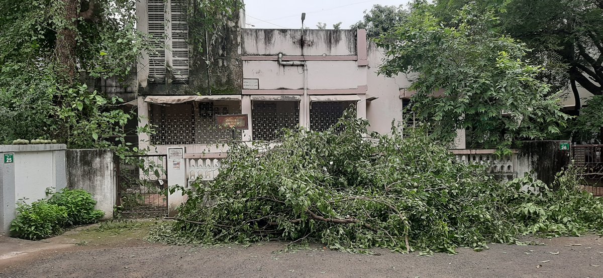 MandarWelankar's tweet photo. @ngpnmc MSEB staff with help of NMC vendor removes branches covering electric pole. Disposal of debris left on plot holder. Contacted NMC person incharge Mr Tidke. Removal will take 3 to 4 days. Why? https://t.co/lKM1UX8vW5