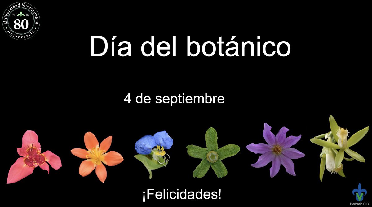 Muchas felicidades para todos y todas 🌿