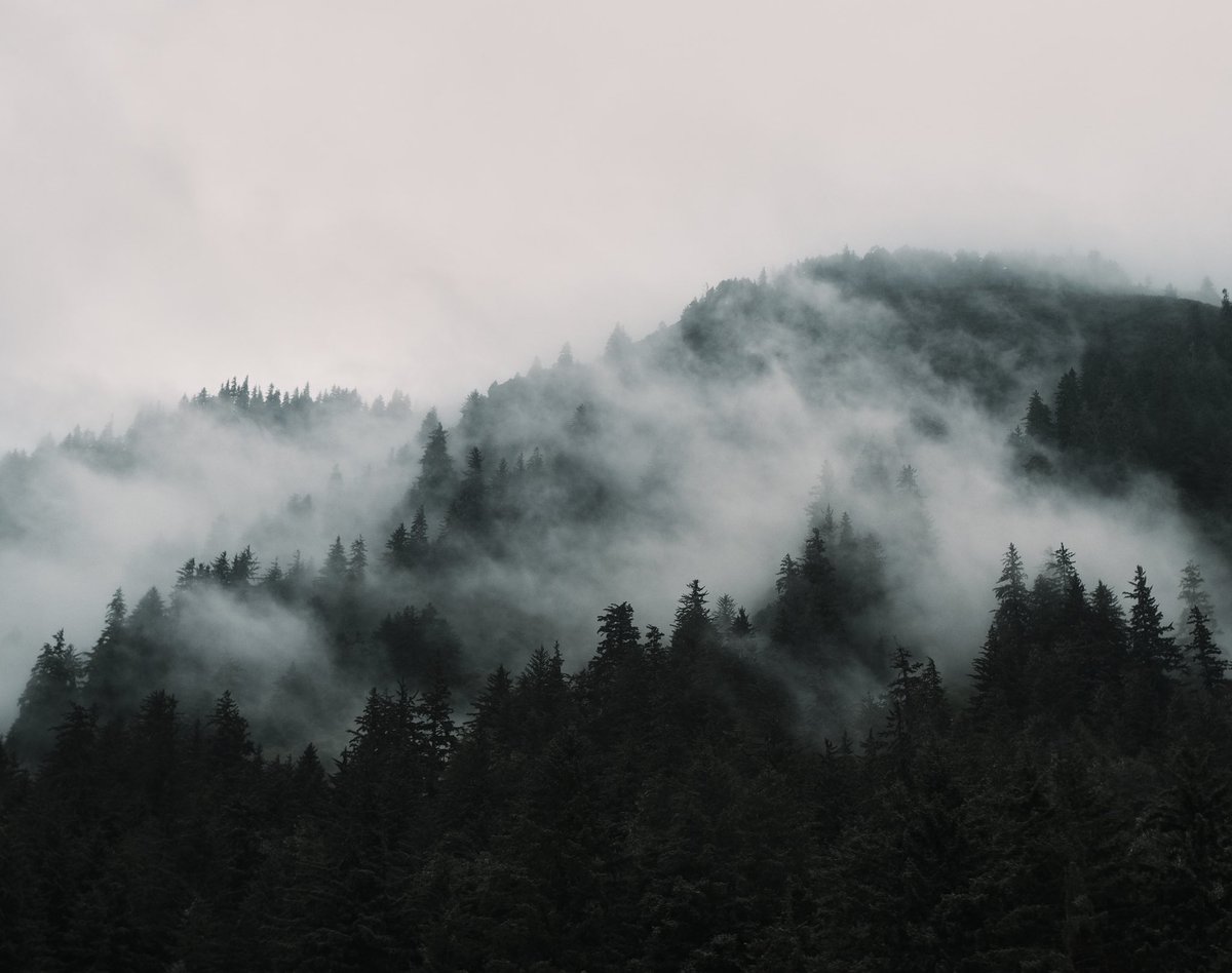 notpoorvi (@notpoorvi) on Twitter photo 