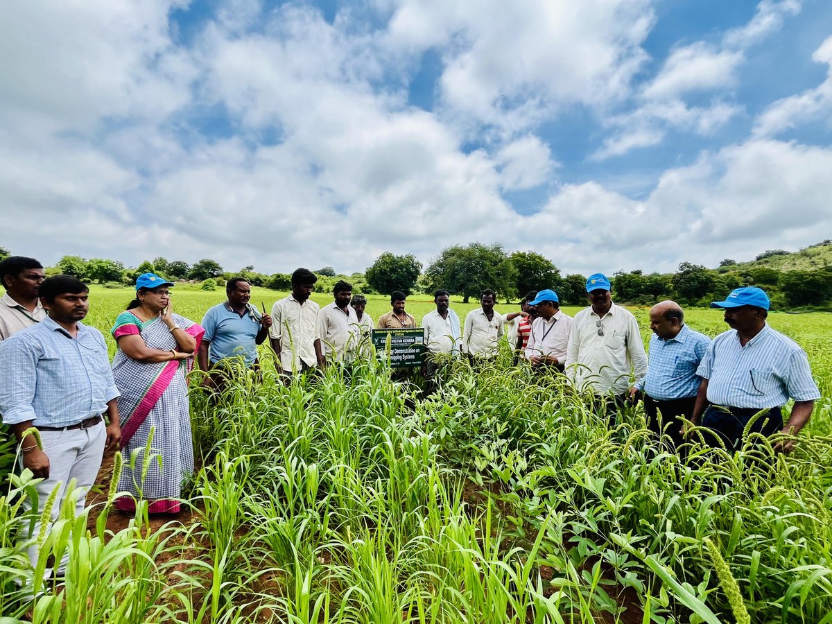C_SUCSeS's tweet image. The Project Coordination Unit visited CRIDA in Hyderabad & Yagantipalle KVK in Kurnool for the 3rd year, observing climate-smart agri-tech in action! In Katikavanikunta, 100% of farmers adopted intercropping Redgram & Foxtail Millet! #ClimateSmartAgriculture #CSUCSeS