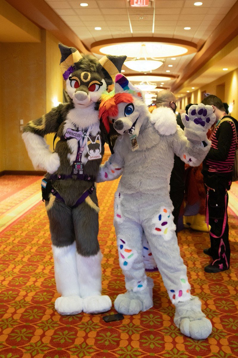 Heard we're posting furry couples so here's me and my lovely husband <a href="/Pattycaeks_/">Pattycaek</a> at #AnthroExpo2024 together!

Photo by <a href="/Vulpine_Media/">Vulpine 🌻🐶💣</a>