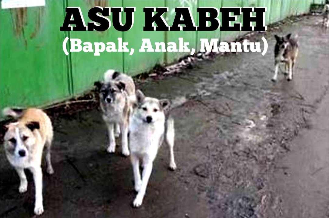SaveJancuk's tweet photo. @DedynurPalakka #asukabeh 
. https://t.co/iiUsUkDuGB