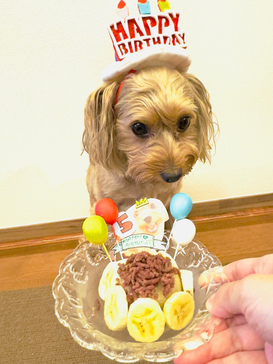 コニー様ご確認中 今日からしばらくここが俺の拠点です