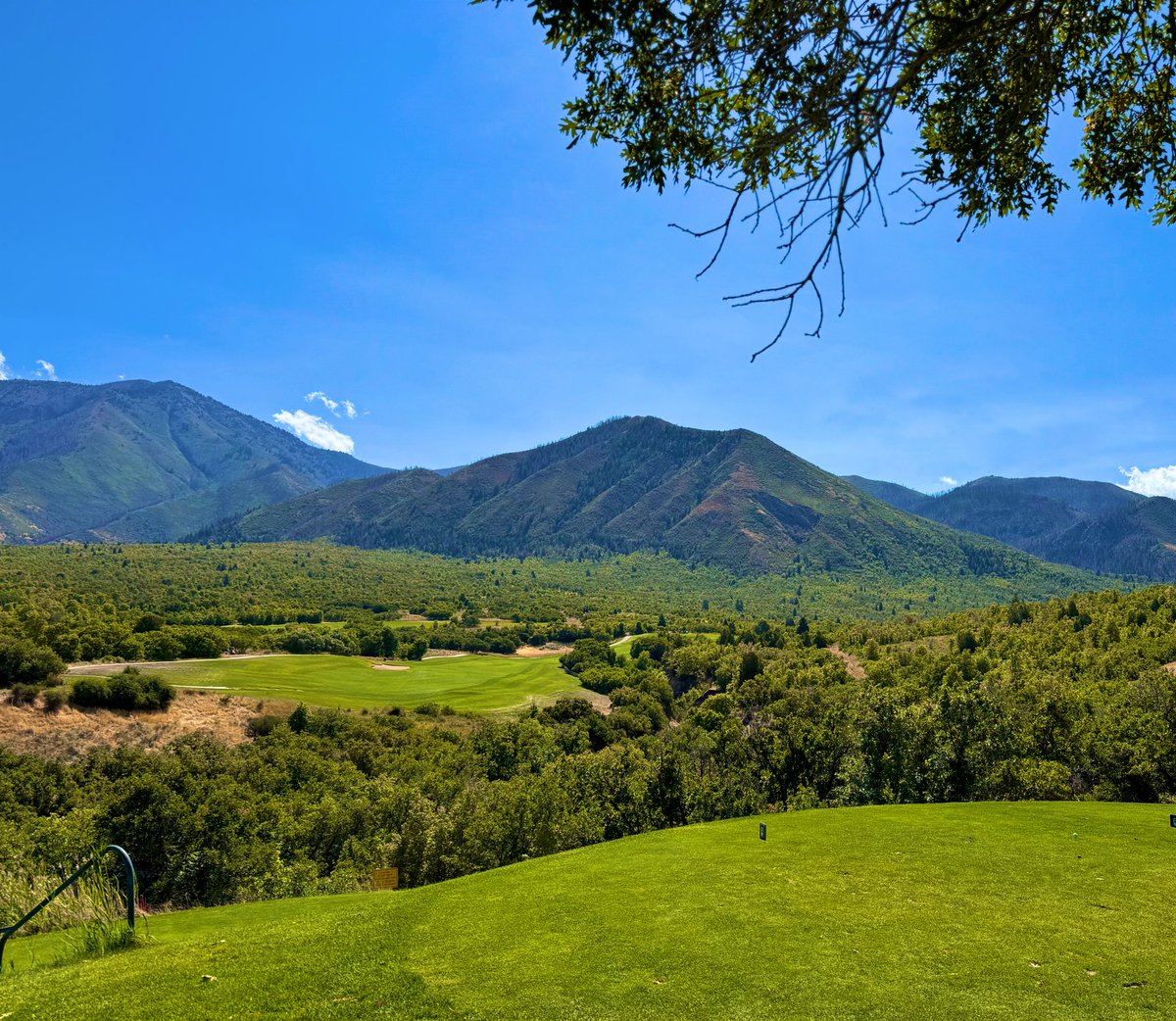 Dilly Dilly 🏌🏼️ tweet media