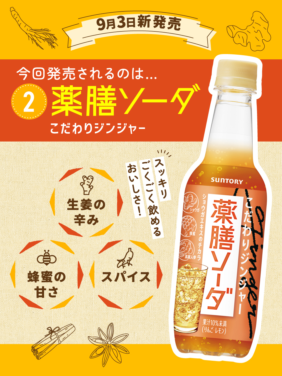生産終了 SUNTORY 薬膳ソーダ 48本セット 2025年3月21日