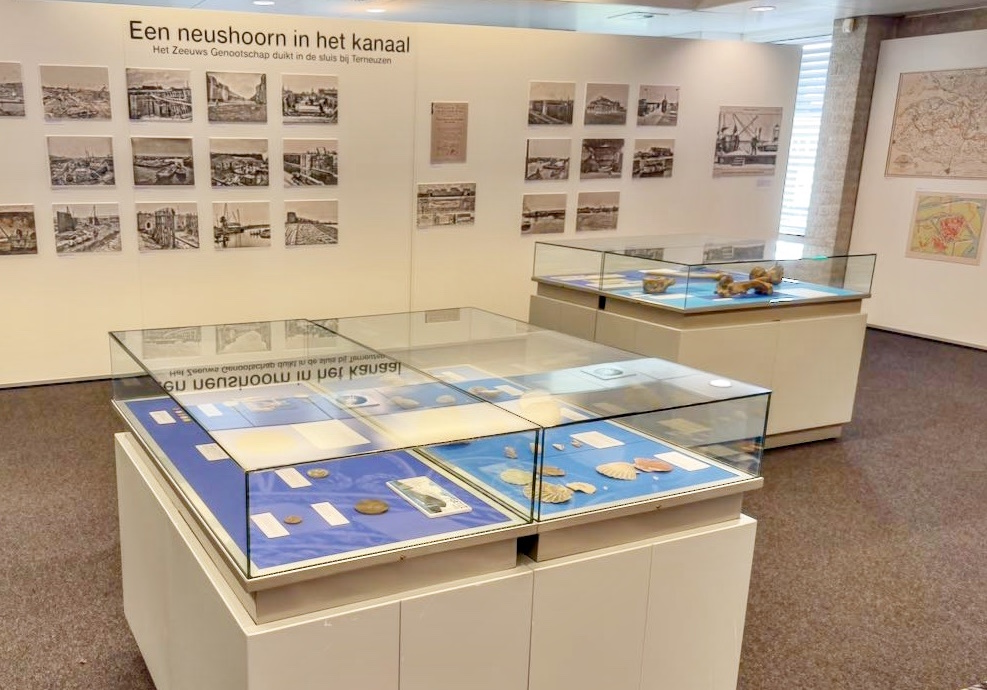 Rondleidingen expositie 'Een neushoorn in het kanaal'