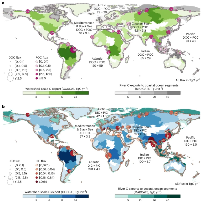 Article: Global riverine carbon export to the ocean may exceed previous estimates

nature.com/articles/s4156…