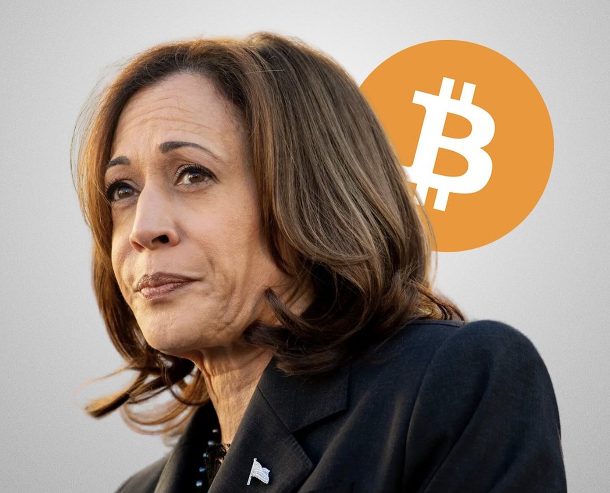 BITCOINLFG® tweet media