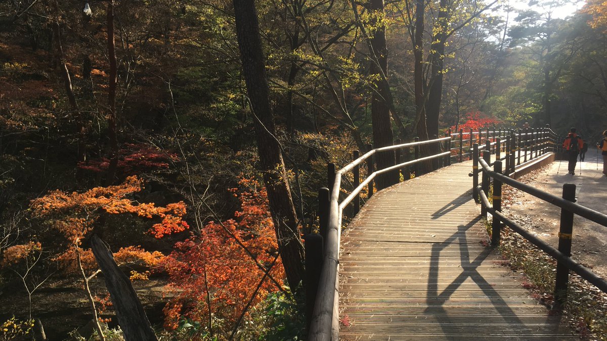 Jono Reeves tweet media