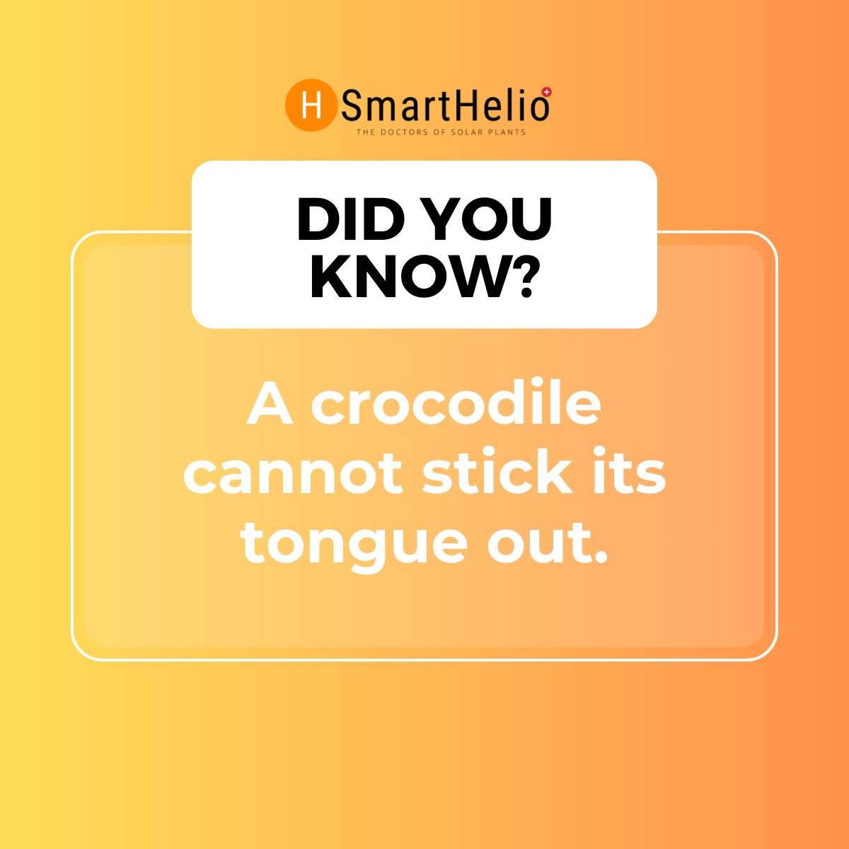 While crocodiles hold their tongues, don’t hold back! 🐊
Join us today, Sept 5, 2024 at 16:30 CET to learn how AI &amp; LLM models are transforming Due Diligence for solar PV plants!
💡Insights: Boost efficiency with AI

👉Register Now: bit.ly/3Tf6FaU

#SolarEnergy #AI #LLM