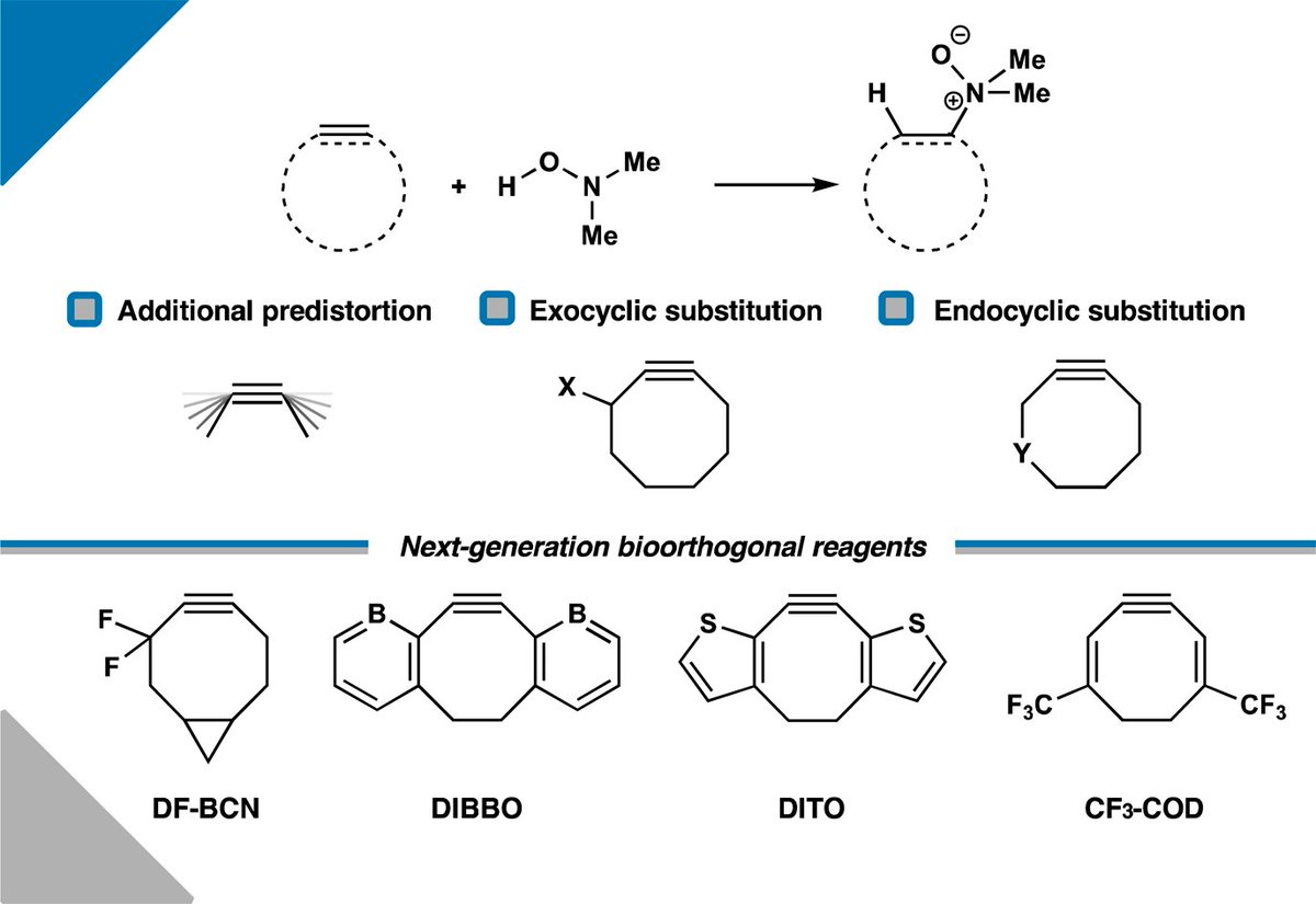 New #ChemSciHOT article 🔥 by Trevor A. Hamlin et al.!

"Retro-Cope elimination of cyclic alkynes: reactivity trends and rational design of next-generation bioorthogonal reagents"

Read here: doi.org/10.1039/D4SC04…