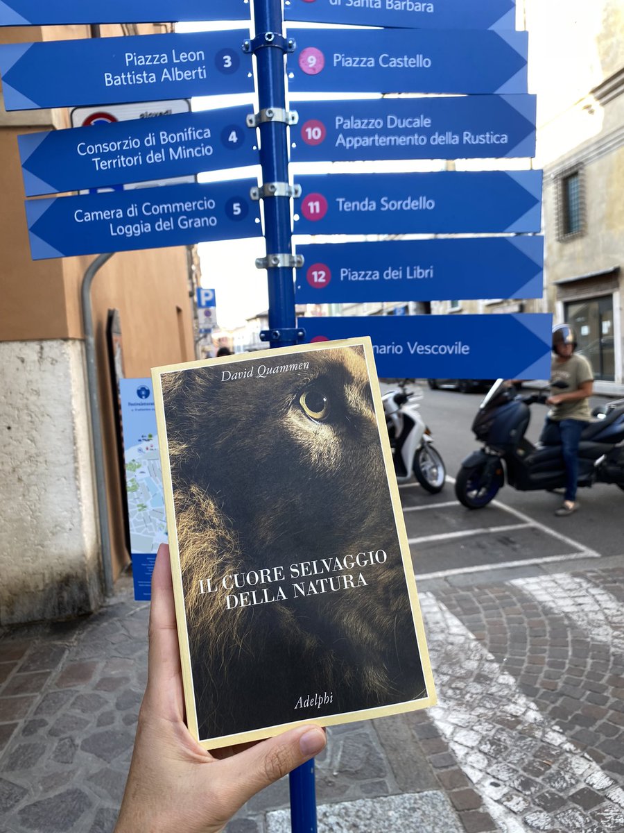 giulia civiletti (@gicivi) on Twitter photo Quammen “l’indovino” è ottimista: «L’umanità saprà sopravvivere»
Intervista a cura di <a href="/_MattiaInsolia/">Mattia Insolia</a> <a href="/DomaniGiornale/">Domani</a>
editorialedomani.it/idee/cultura/d…
@DavidQuammen
oggi e domani al <a href="/festletteratura/">Festivaletteratura</a> #FestLet Quammen “l’indovino” è ottimista: «L’umanità saprà sopravvivere»
Intervista a cura di <a href="/_MattiaInsolia/">Mattia Insolia</a> <a href="/DomaniGiornale/">Domani</a>
editorialedomani.it/idee/cultura/d…
@DavidQuammen
oggi e domani al <a href="/festletteratura/">Festivaletteratura</a> #FestLet