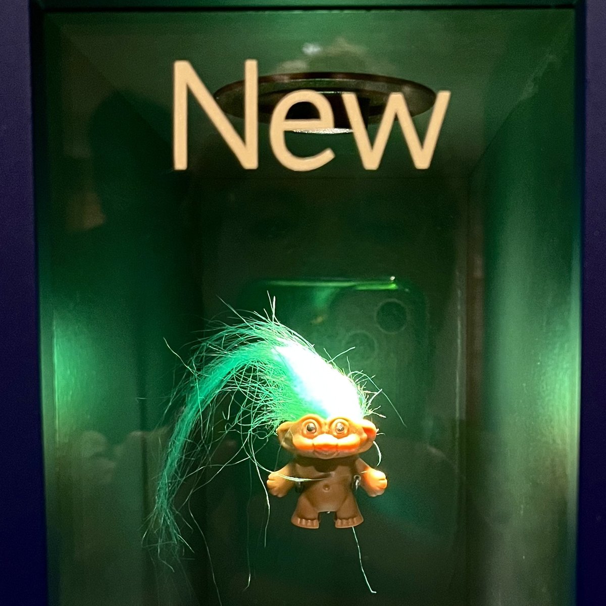 The Salisbury Museum tweet media