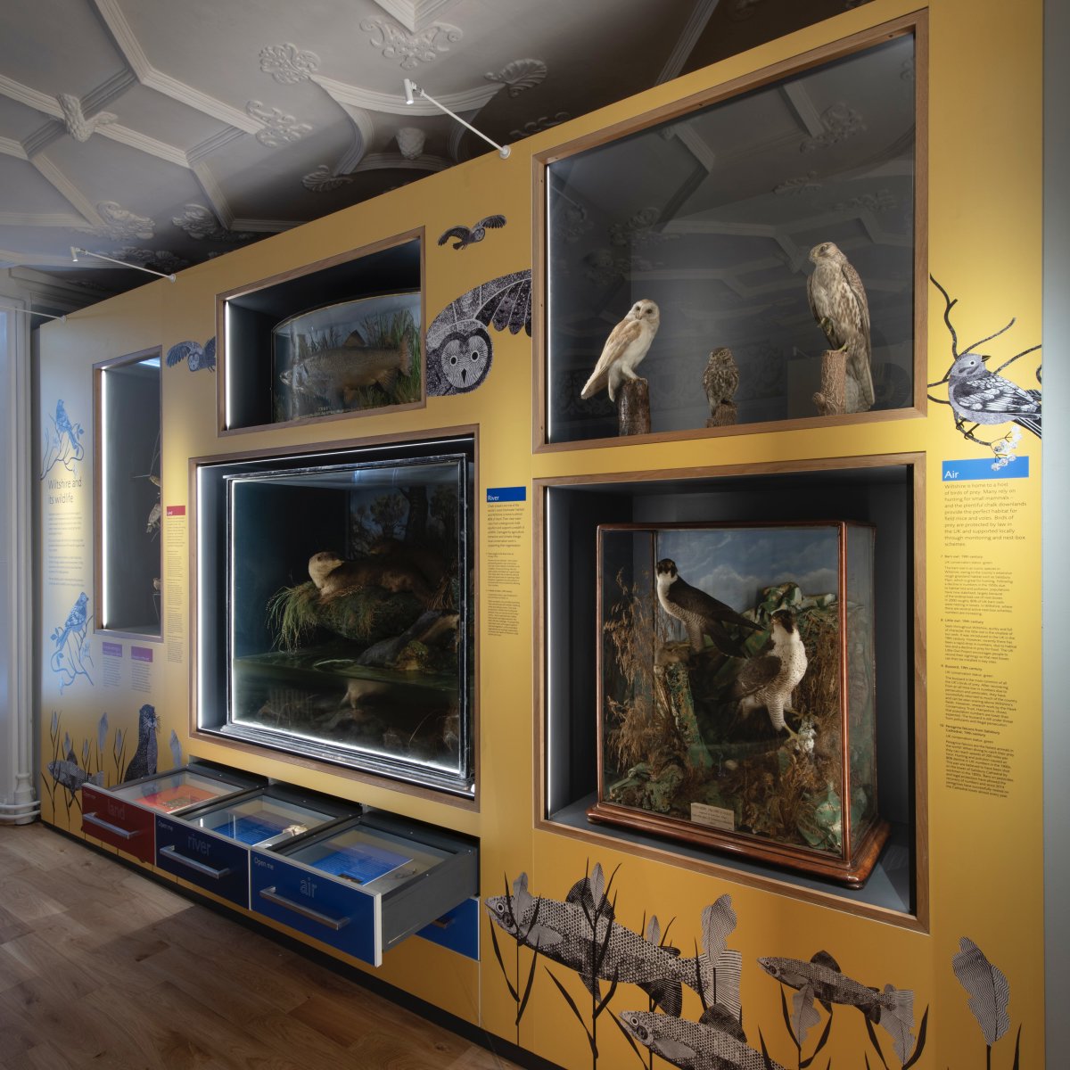 The Salisbury Museum tweet media