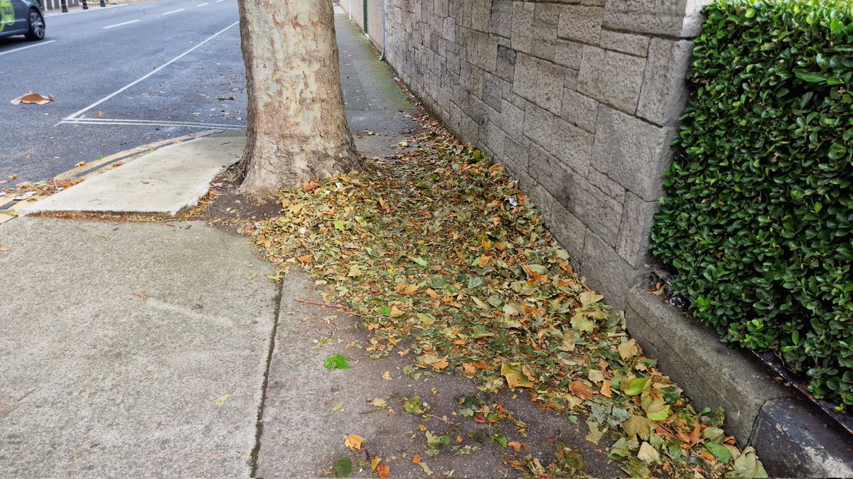 eScootTalks's tweet photo. @DubCityCouncil I know a person who has a metal plate and screws in her leg because of things like this. https://t.co/fSK8DGtV9F