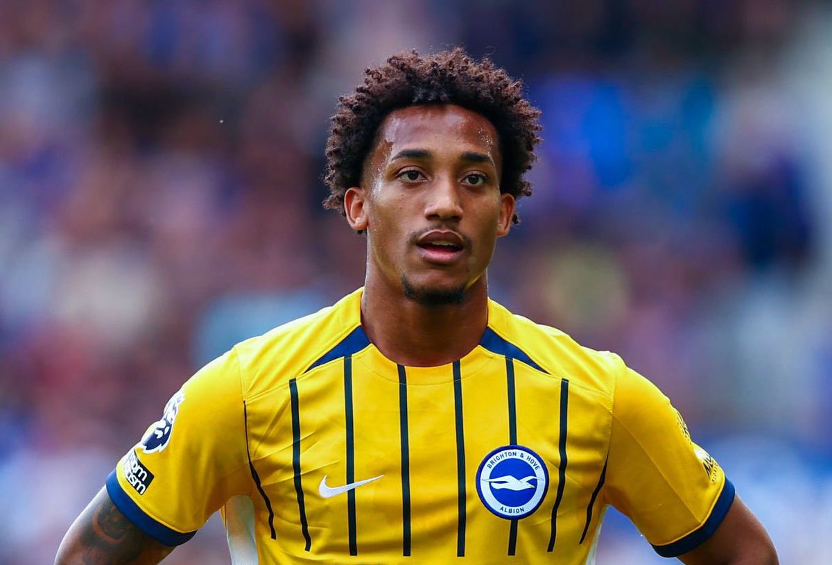 Brighton Bubble tweet media