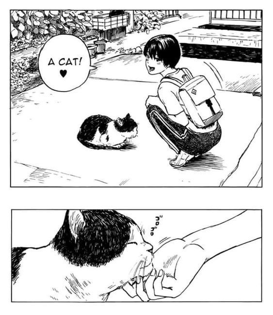 Out Of Context Manga (@mangacontexts) on Twitter photo 
