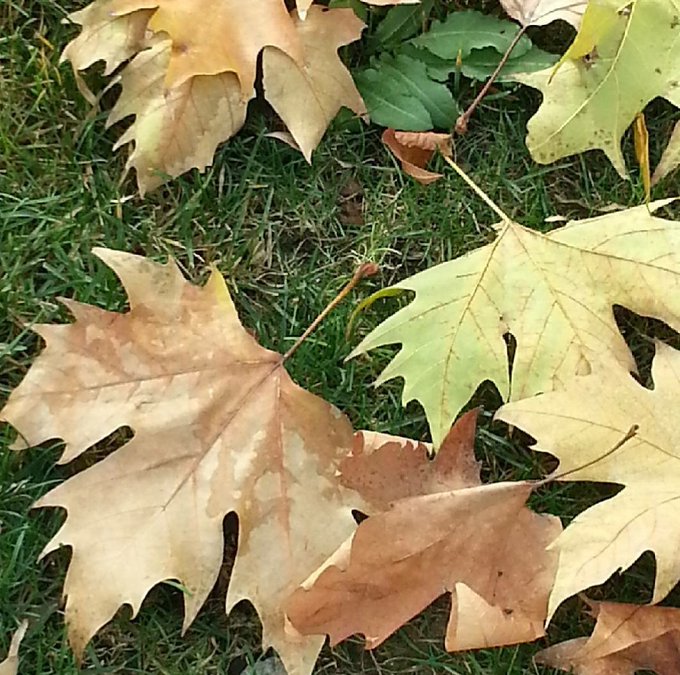 Ve bekleyip g�rmek gerekir sonu�lar�