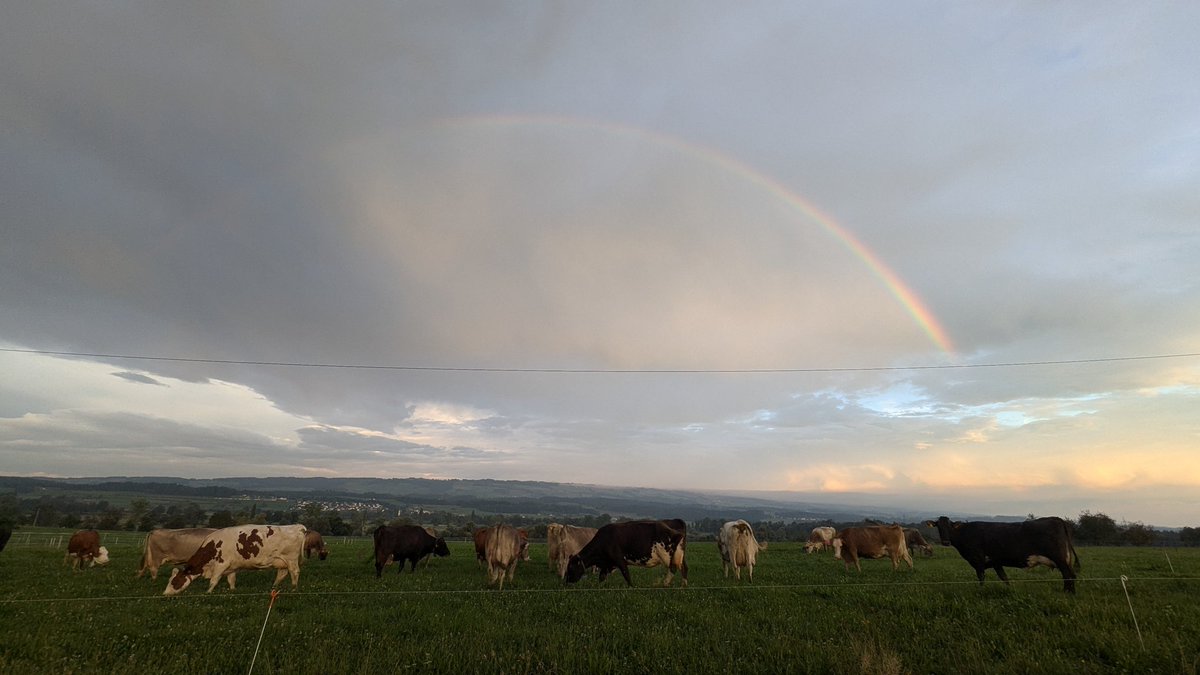 Morning Rainbow