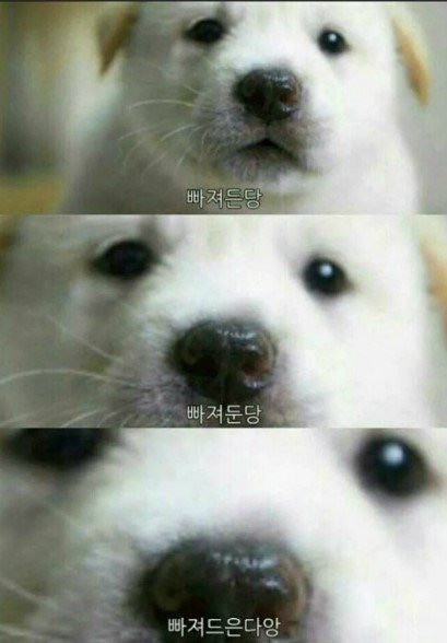 빠져든당
빠져둔당
빠져드은다앙