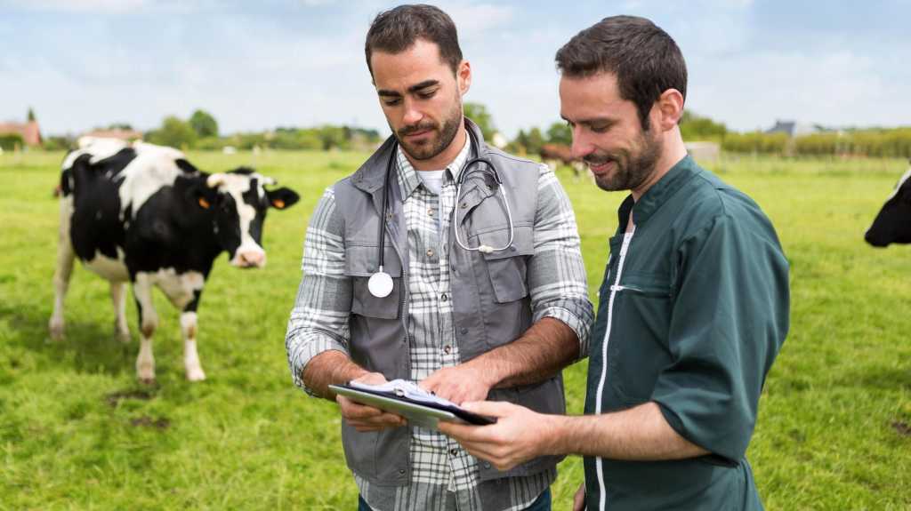 Mit Digitalisierung zum Bauernhof 2.0 dlvr.it/TCrFj5