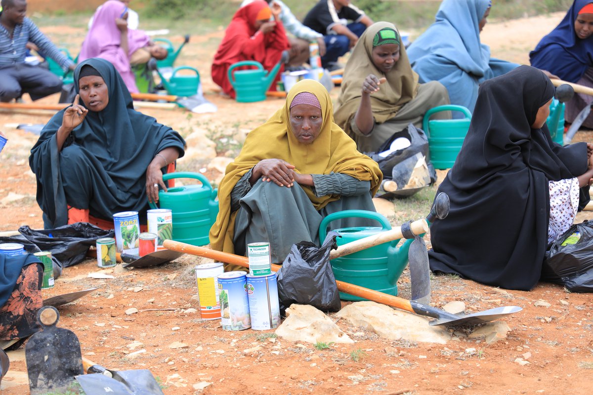 GREDO SOMALIA tweet media