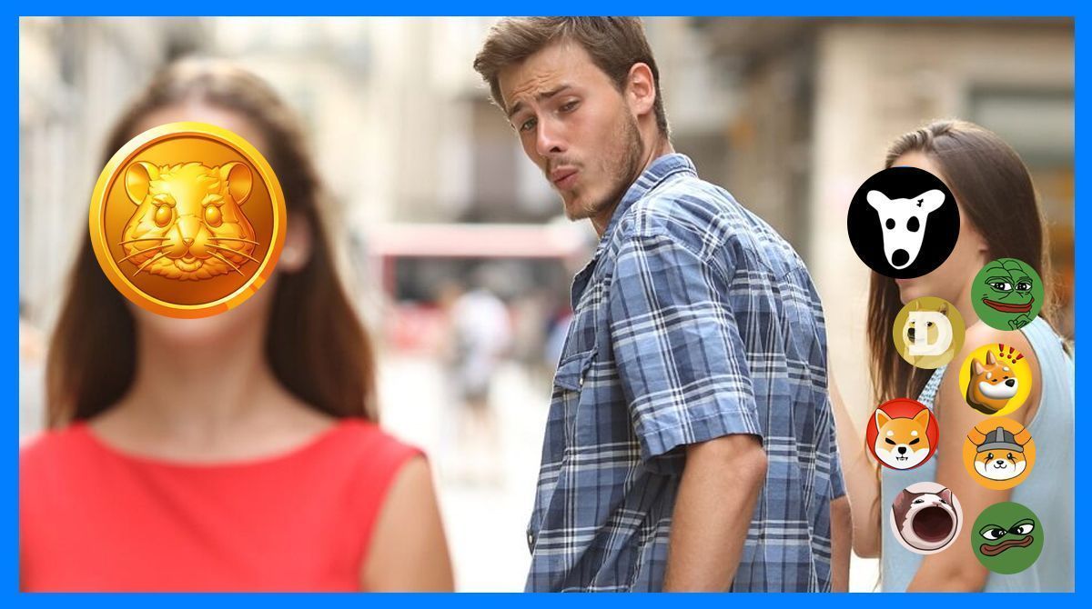 Who's being so attractive? 
Oh, it's the cute $HMSTR!

#Memecoin #HMSTR
