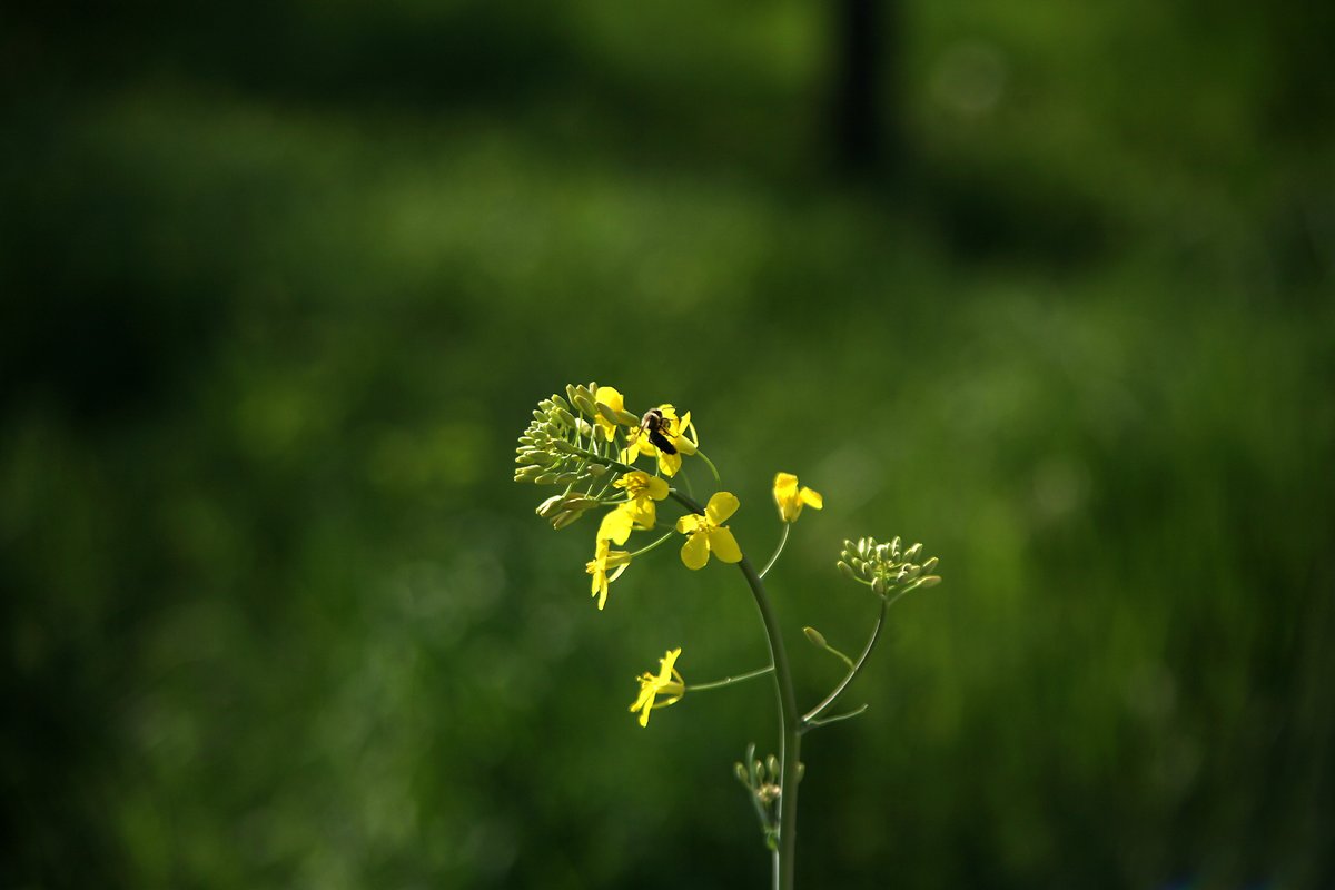 <a href="/ritabianchi56/">RITABIANCHi56</a>