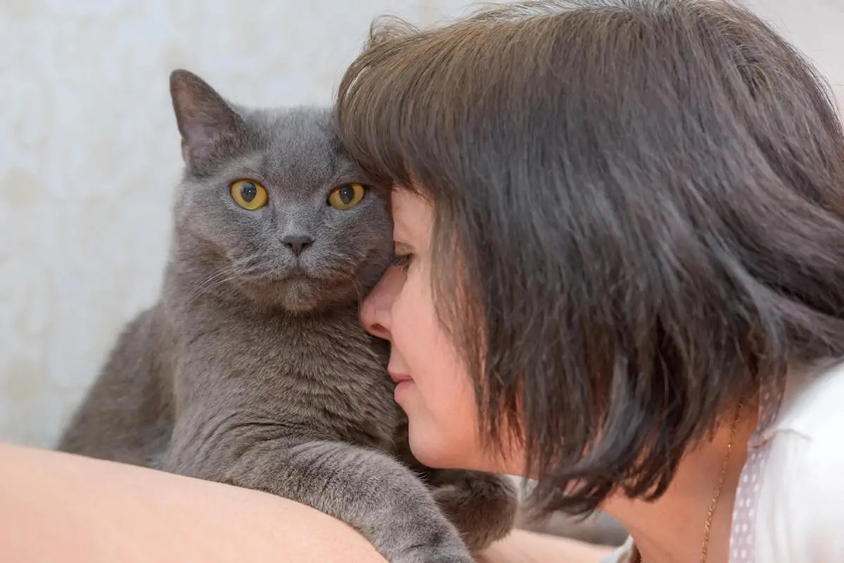 How to Protect Your Pet’s Happiness by Managing Your Stress: The post How to Protect Your Pet’s Happiness by Managing Your Stress appeared first on Katzenworld - Welcome to the world of cats!. 

Learn how your stress can affect your pet's… dlvr.it/TCrHl0 via <a href="/kattavinir/">kattavinir</a>