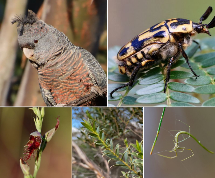 NatureMapr (@naturemapr) on Twitter photo Read all about ๐๐ถ๐๐ฎ๐ in our latest edition of ๐ ๐ฒ๐ฒ๐ ๐๐ต๐ฒ ๐ ๐ฎ๐ฝ๐ฝ๐ฒ๐ฟ๐: facebook.com/NatureMapr/posโฆ Read all about ๐๐ถ๐๐ฎ๐ in our latest edition of ๐ ๐ฒ๐ฒ๐ ๐๐ต๐ฒ ๐ ๐ฎ๐ฝ๐ฝ๐ฒ๐ฟ๐: facebook.com/NatureMapr/posโฆ