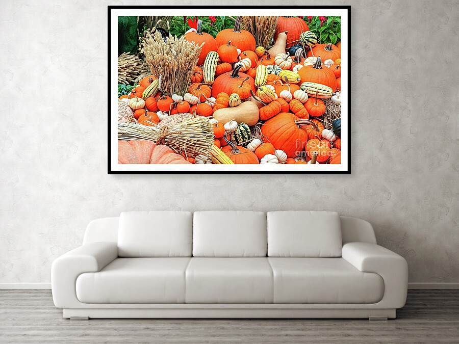 _wheresmymojo's tweet photo. A vibrant assortment of pumpkins and gourds is displayed alongside bundles of wheat, creating a colorful autumn scene. 🍂🎃 https://t.co/N9z2MPhvMM #Jigsaw #puzzle #autumnart #autumn #pumpkin #wheat #squashes #harvest2024 #harvesting #harvest #photography #NaturePhotography https://t.co/u6lJ8CjxWz