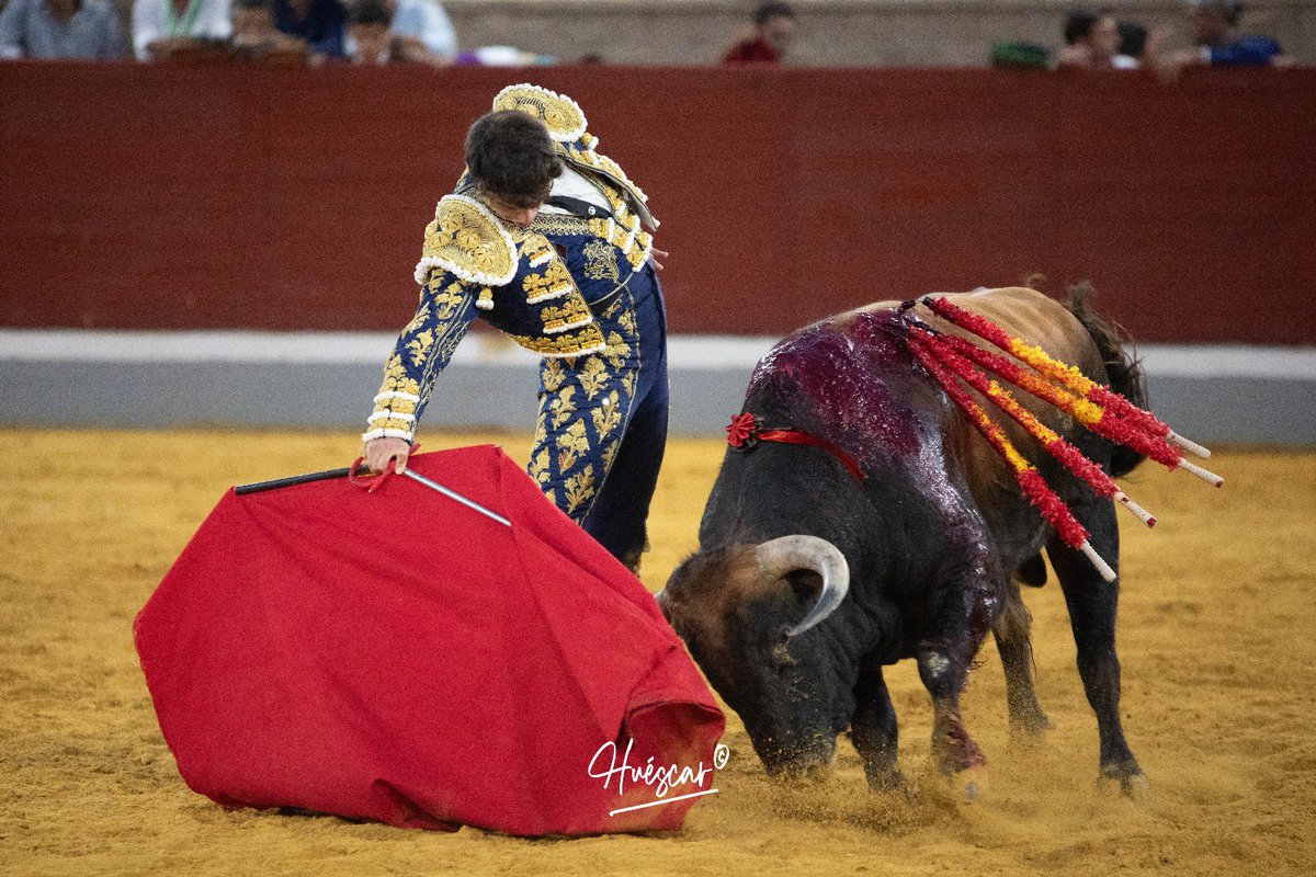 @Huéscar (@ahfototaurina) on Twitter photo <a href="/Villasecatoros/">Villaseca dela Sagra</a> primera del Alfarero de Oro, puerta grande para <a href="/ACHICHARRO_/">Alejandro Chicharro</a> que desorejo a Fortunato II, novillo premiado con la vuelta al ruedo de la ganadería <a href="/Condemayalde/">Conde de Mayalde</a>
#villaseca
#alejandrochicharro
#condedemayalde
#alfarerodeoro2024
#XXIValfarerodeoro <a href="/Villasecatoros/">Villaseca dela Sagra</a> primera del Alfarero de Oro, puerta grande para <a href="/ACHICHARRO_/">Alejandro Chicharro</a> que desorejo a Fortunato II, novillo premiado con la vuelta al ruedo de la ganadería <a href="/Condemayalde/">Conde de Mayalde</a>
#villaseca
#alejandrochicharro
#condedemayalde
#alfarerodeoro2024
#XXIValfarerodeoro