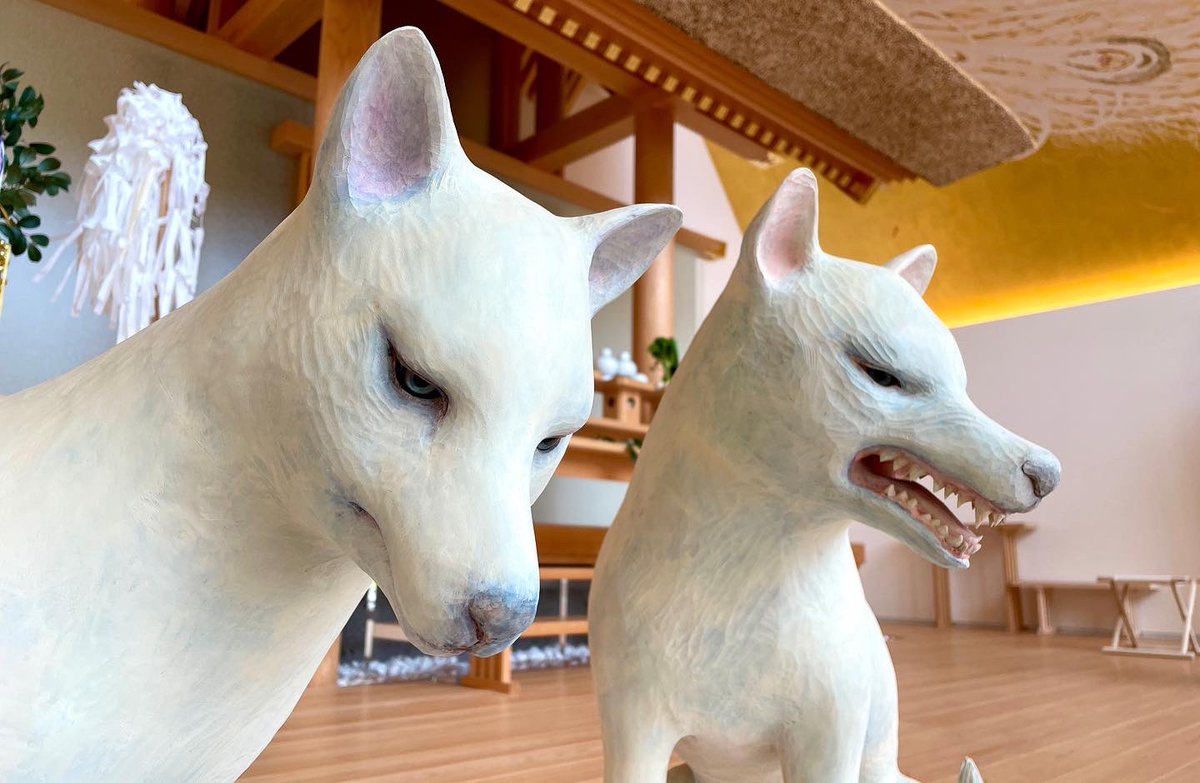 9月7日（土）15:00〜 #ニホンオオカミ の狛犬にちなんだ「白狼祭」が斎