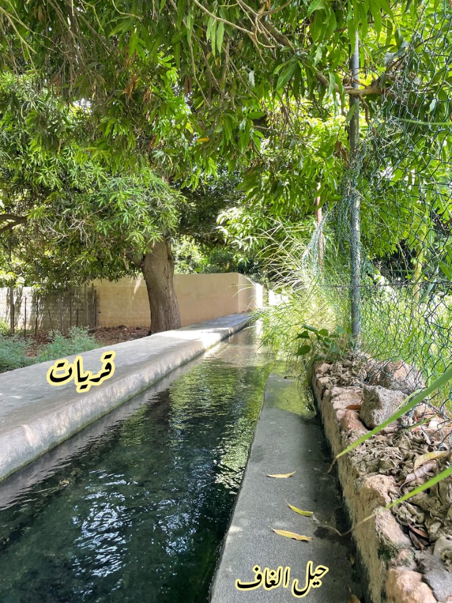 لا شيء يضاهي جمال الطبيعة؛ وكأن روحك تطيب من جمال المنظر...🍁