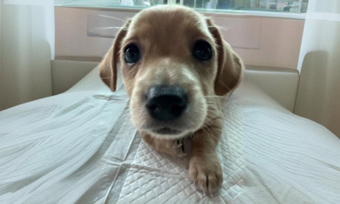 Jackson Hunter tweet media