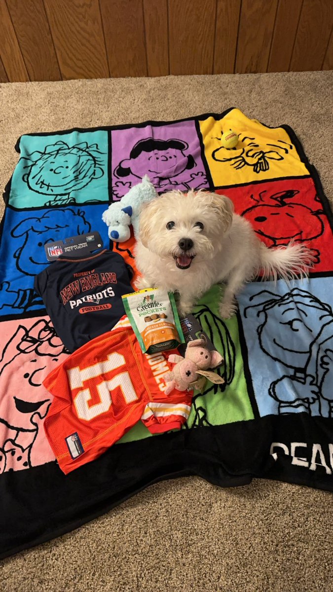 Happy 13th birthday Finn! We love you sooooo much💚