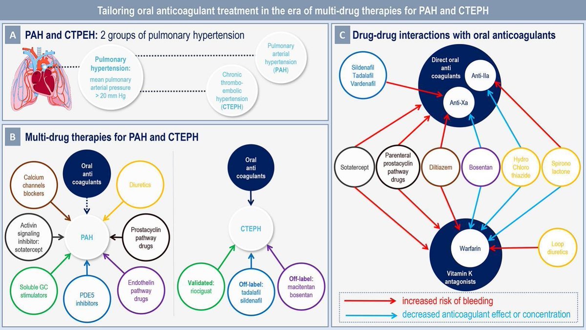 Montani David (@montanidavid) on Twitter photo Want to dive deep into anticoagulants and #PAH and #CTEPH? Don’t miss this must-read article published in Blood Reviews by the Saint-Etienne team. Proud to have contributed to this work!
<a href="/pulmotension/">Pulmotension</a> <a href="/SPLF_SocPneumo/">Société de Pneumologie de Langue Française (SPLF)</a> <a href="/InsermU999/">InsermU999</a> <a href="/LaurentBertole1/">Laurent Bertoletti</a>  
sciencedirect.com/science/articl… Want to dive deep into anticoagulants and #PAH and #CTEPH? Don’t miss this must-read article published in Blood Reviews by the Saint-Etienne team. Proud to have contributed to this work!
<a href="/pulmotension/">Pulmotension</a> <a href="/SPLF_SocPneumo/">Société de Pneumologie de Langue Française (SPLF)</a> <a href="/InsermU999/">InsermU999</a> <a href="/LaurentBertole1/">Laurent Bertoletti</a>  
sciencedirect.com/science/articl…