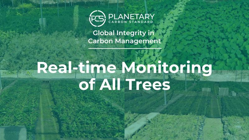 All trees in the Planetary Carbon Standard tree planting program will be monitored for life, generating hashtag#CarbonCredits accredited for our hashtag#carbon registry. This initiative not only supports reforestation but also helps combat hashtag#climate change by creating a