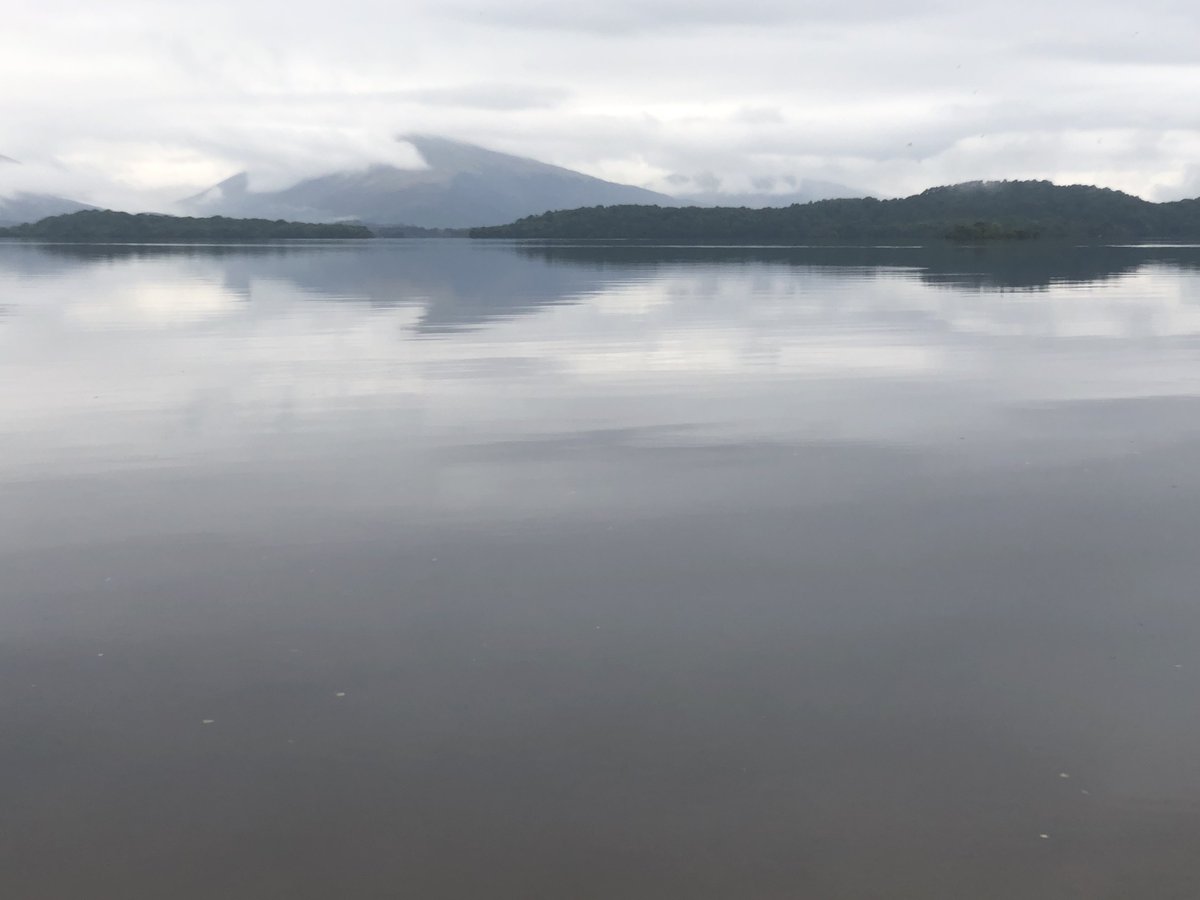 We were happy to host <a href="/ArielBrunner/">Ariel Brunner🇺🇦 #Xdissenter</a>, Director <a href="/BirdLifeEurope/">BirdLife Europe & Central Asia</a> earlier this week. He kindly came to speak at <a href="/theSNP/">The SNP</a> conference about the nature targets that have been incorporated in EU law and how Scotland can keep pace with the EU by doing the same. 

We managed to squeeze in a