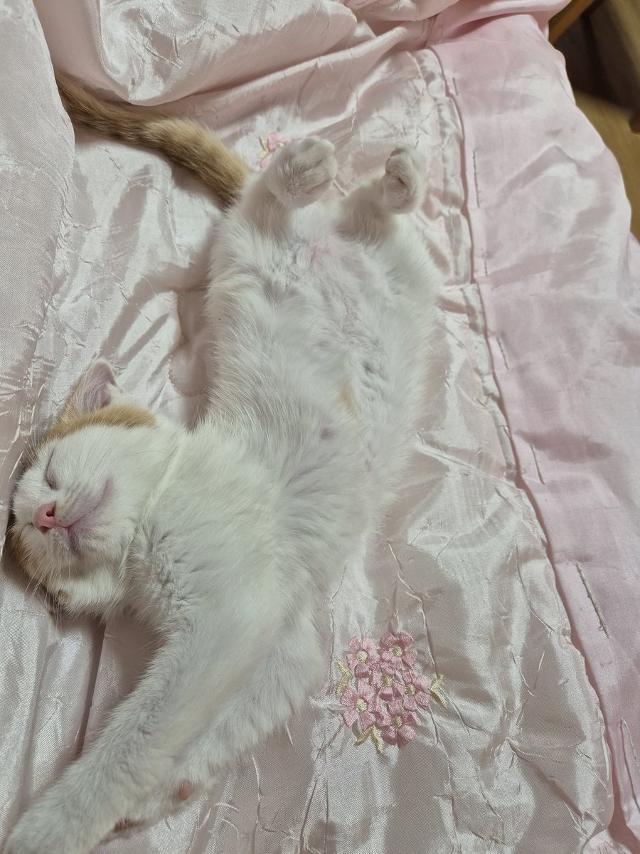 호 (@hooh_01) on Twitter photo 