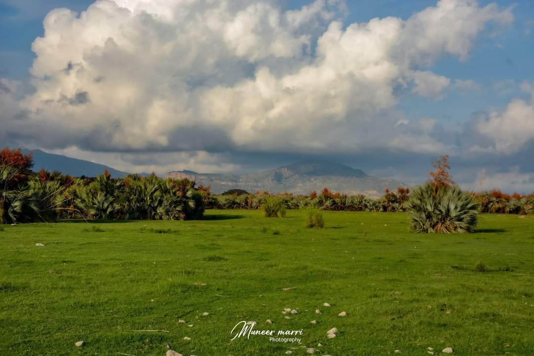 ضلع بارکھان 
بلوچستان