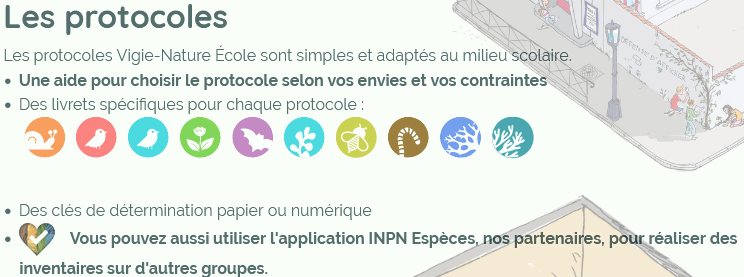 Engager nos élèves dès l'école maternelle vers les sciences participatives c'est possible avec <a href="/VigieNatEcole/">VigieNature-École</a> Filez découvrir le site 🔗vigienature-ecole.fr