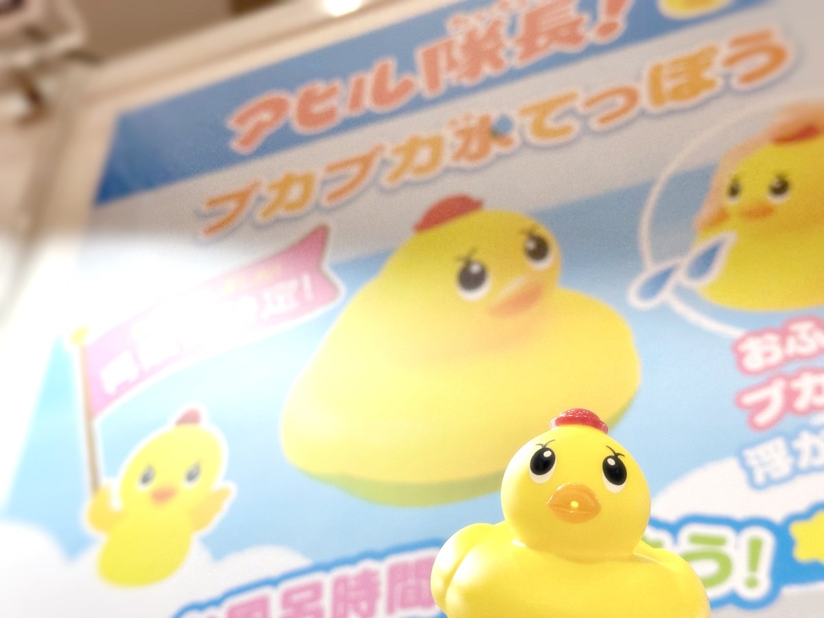アヒル隊長®︎公式 on X: アヒル隊長®︎公式 on X: