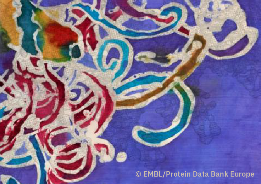 EMBL Science Education & Public Engagement tweet media