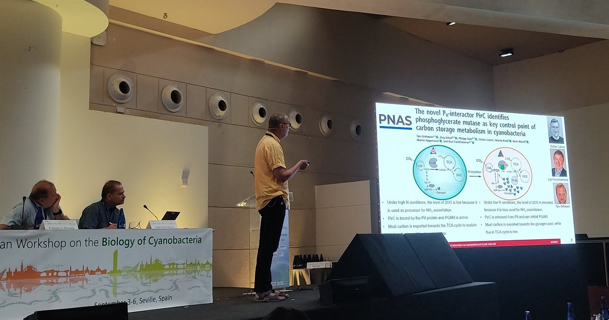 ewbc2024's tweet image. Starting the second day dedicated to Physiology, Metabolism and Bioenergetics #EWBC2024 @FEMSmicro @AMI_SMIJournal @agrisera @AllGenetics @STABVIDA @IBVF_Sevilla C.viral @InvestigaUS