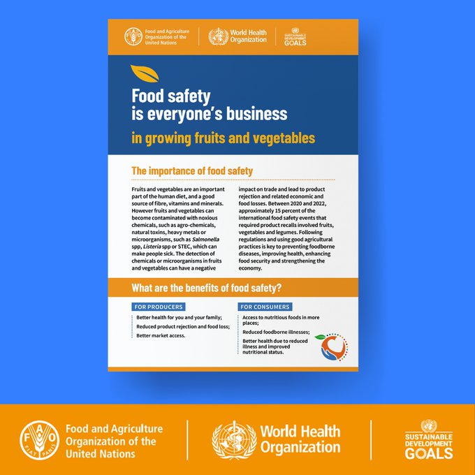 🤔 | What are the benefits of #FoodSafety when growing fruits and vegetables❓ 

👉Here are 3⃣ benefits for producers:  

🔸Better health for you and your family ⚕️
🔸Reduced product rejection and food loss 📊
🔸Better market access 🚚

➕ℹ️➡️ bit.ly/3qRnI7M