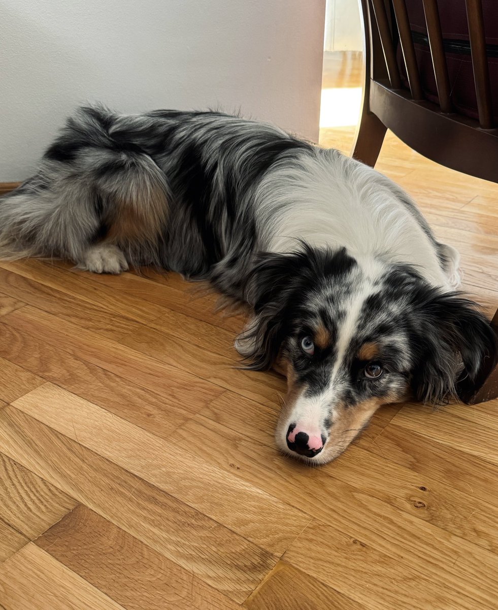 Трансформировался в шерстяную гусеничку