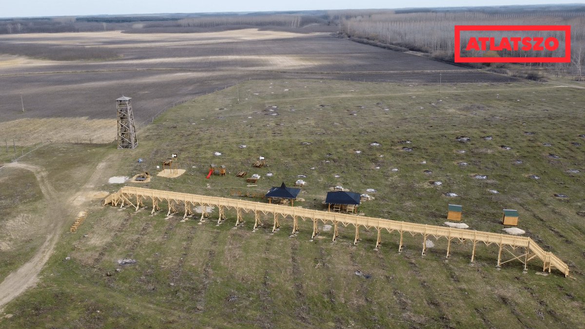 Dominik Héjj tweet media